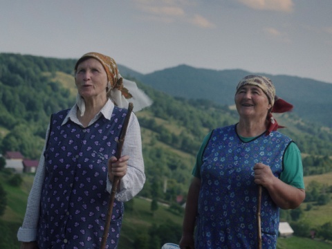 Dezinformacja, zdrowie psychiczne, natura. Toruńskie święto kina zaangażowanego