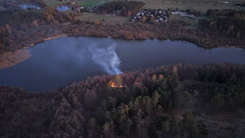 Aż 47 pożarów lasu w regionie od początku roku W dwóch nadleśnictwach najwięcej. Przypadek