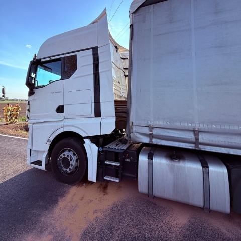 Utrudnienia na DK25 pod Strzelnem. Ładunek przebił kabinę ciężarówki