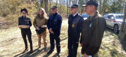 Majówka w lesie Tak, ale trzeba pamiętać o zasadach. Służby apelują: Byle bezpiecznie [Temat Tygodnia]