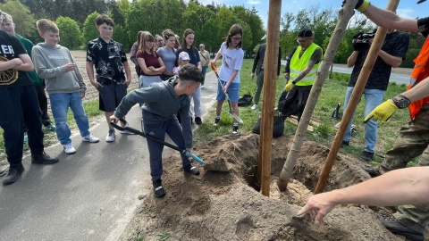 Akcja sadzenia drzew na wjeździe do gminy Unisław. Kolejne tereny zielenieją [zdjęcia]