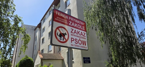 Psia toaleta pod nosem sąsiada. Toruńska spółdzielnia postawiła tabliczkę. Kiedy płot [zdjęcia]