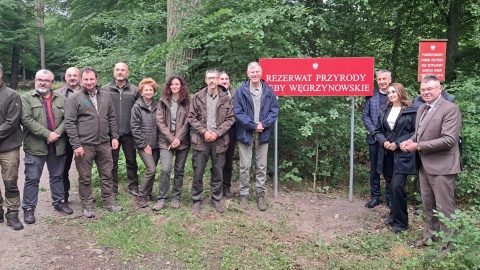 Rezerwat przyrody Dęby Węgrzynowskie otwarto w gminie Strzelno, niedaleko Inowrocławia [zdjęcia]