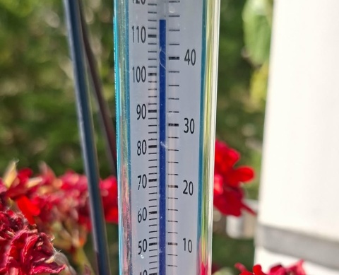 Jest nowy rekord temperatury w Polsce po ponad stu latach. Padł w Toruniu