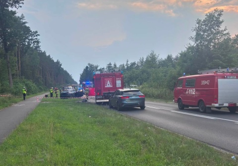 Śmiertelny wypadek we wsi Niedola w powiecie nakielskim. Na miejscu akcja służb