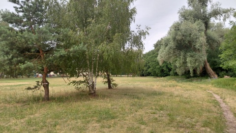 Jakich zmian chcą mieszkańcy Aleksandrowa Kujawskiego Odnowiony zostanie park blisko centrum kultury