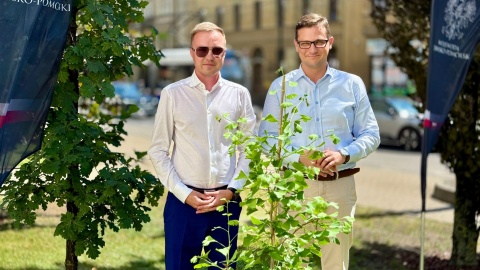 Przed urzędem wojewódzkim w Bydgoszczy rośnie nowe drzewo. Wcześniej urosła kwota zebrana na WOŚP