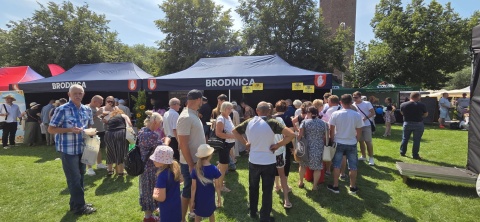 Brodnica świętuje. Takie atrakcje przygotowano na przedzamczu [zdjęcia]