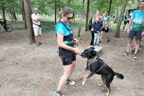Parkrun Toruń świętuje jedenaste urodziny. W lesie na Skarpie był tort i wspólne spalanie kalorii [zdjęcia]
