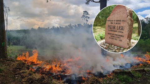 Gwałtownie zaczął się rozprzestrzeniać. Mijają 34 lata od pożaru w Puszczy Bydgoskiej