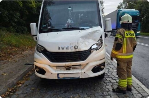 Kolizja w Kurzejewie pod Nowem. Bus szkolny zderzył się z łosiem