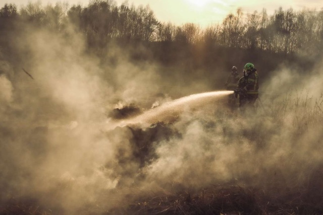 To jeden z najbrutalniejszych sposobów niszczenia środowiska