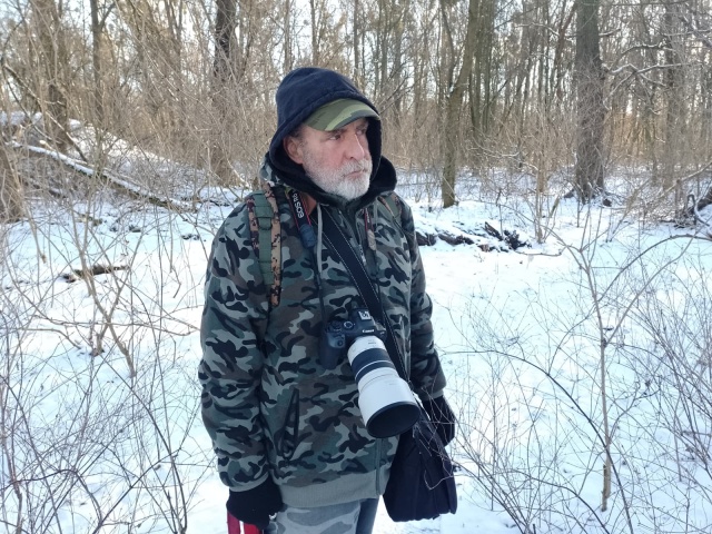 Toruńska rzeź drzew. Mamy nowe informacje od osób, które były wtedy w lesie [zdjęcia]