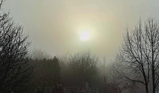 Czy Ogród Botaniczny Instytutu z Myślęcinka zimą śpi Przekonajmy się Drzwi otwarte