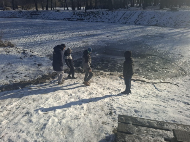 Martwa Wisła niemal całkowicie zamarzła. Taka zima może być dla ryb walką o przetrwanie