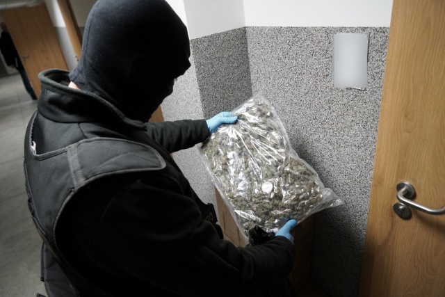 75 kilogramów narkotyków znalezionych w bydgoskim mieszkaniu nie trafi do sprzedaży [zdjęcia]