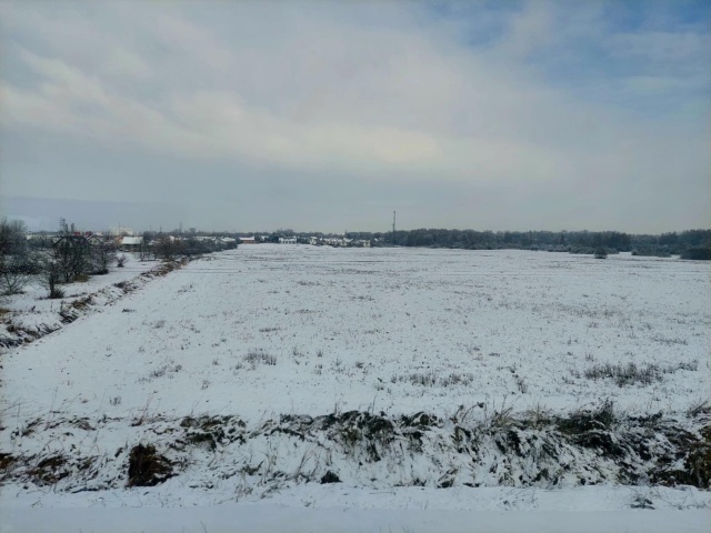Czy śnieżna zima uratuje nas przed suszą Ekspert z UMK: Nie ma mowy o odbudowaniu braków wody