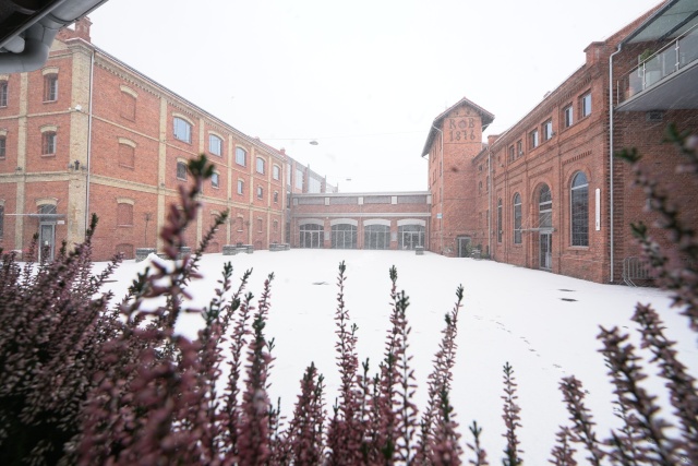Uczestnicy ferii we Włocławku przenieśli się do krainy luster. To bardzo dziwne