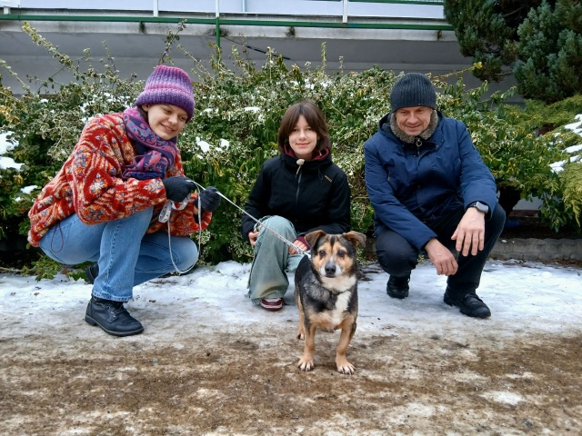 Ponad 150 psów czeka w toruńskim schronisku na nowy dom. Placówka apeluje o adopcje