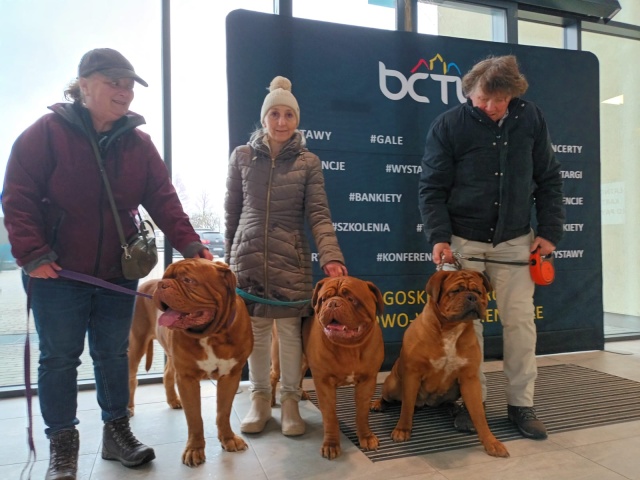 Ponad 2,5 tysiąca psów w Myślęcinku. Trwa międzynarodowa wystawa [wideo  zdjęcia]