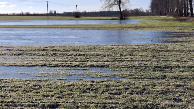 Dramatyczna sytuacja rolników z regionu. Woda zalała pola i opóźnia prace [zdjęcia i wideo]