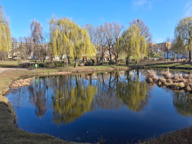 Ruszą prace nad Małym Blankuszem w Świeciu. To będzie przyrodnicza oaza wypoczynku [wizualizacja]