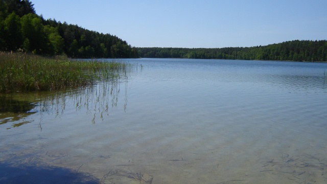 Przyrodnicza perełka w Borach Tucholskich zamknięta dla turystów. Powodem zachowanie ludzi