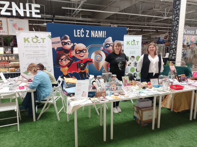 Kiermasz charytatywny na rzecz bezdomnych i chorych kotów w Toruniu