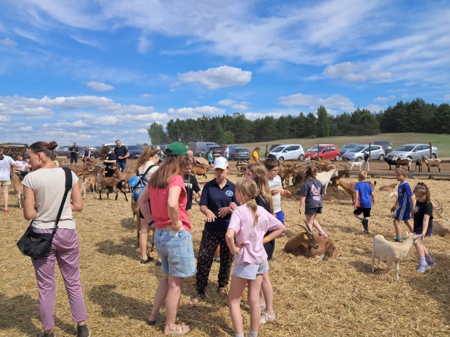 Kozia Dolina zaprasza na cały długi weekend. To najbardziej rogata impreza w regionie