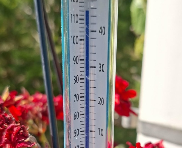 Jest nowy rekord temperatury w Polsce po ponad stu latach. Padł w Toruniu