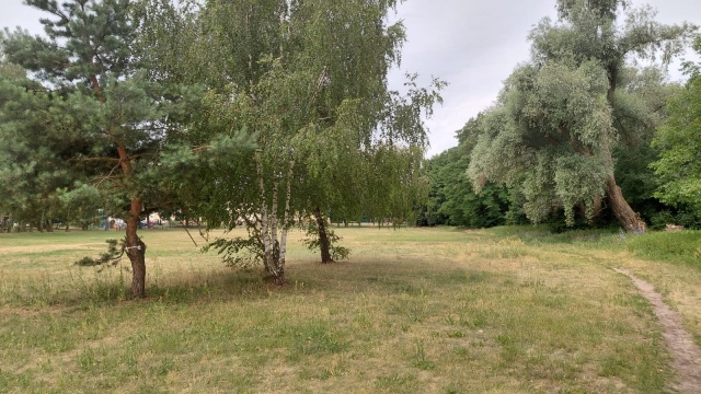 Jakich zmian chcą mieszkańcy Aleksandrowa Kujawskiego Odnowiony zostanie park blisko centrum kultury