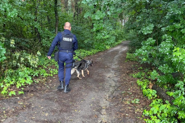 Okradł sklep w Osiu, a policjantom wmawiał, że został pobity. Policyjny pies odnalazł skradziony łup