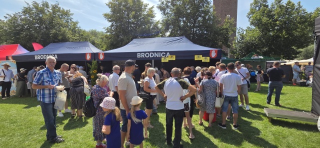 Brodnica świętuje. Takie atrakcje przygotowano na przedzamczu [zdjęcia]