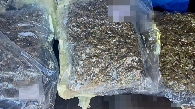 Nie wyciągnął wniosków z przeszłości. Poszukiwany 41-latek wpadł, mając przy sobie marihuanę
