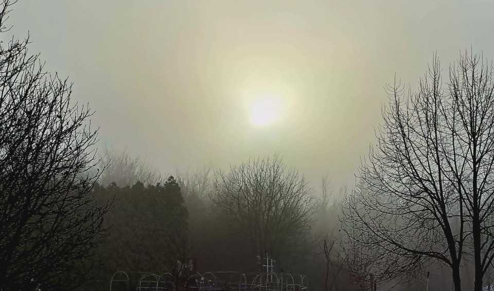 Zimowy krajobraz z Ogrodu Botanicznego Krajowego Centrum Roślinnych Zasobów Genowych Instytutu Hodowli i Aklimatyzacji Roślin-Państwowego Instytutu Badawczego/fot. Jarosław Mikietyński