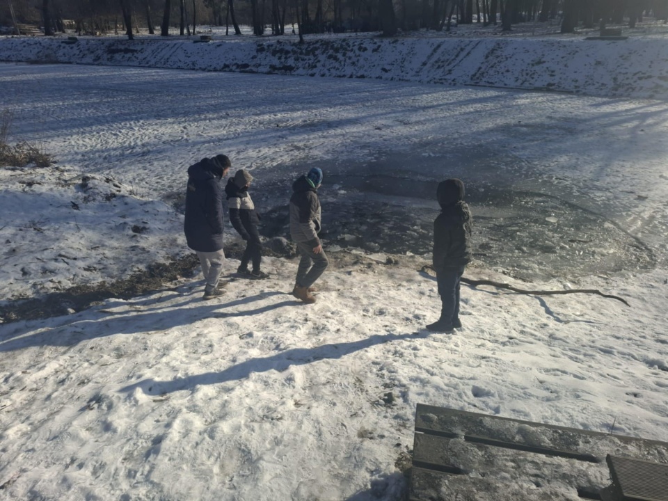 Mieszkańcy Torunia są zaniepokojeni losem ryb w Martówce w Park Miejski na Bydgoskim Przedmieściu/Fot. Robert Duliński
