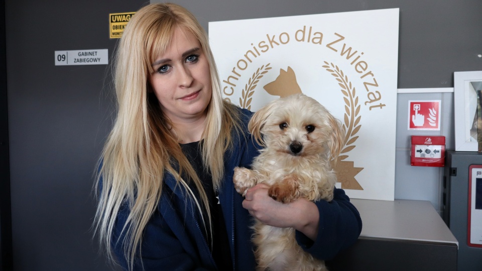 Prawie sto psów uratowanych i zabranych z pseudohodowli w Błędowie/fot. Tatiana Adonis