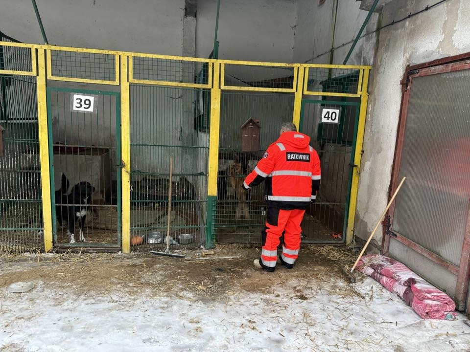 Ratownicy WOPR w Toruniu, po codziennym patrolu terenów przywodnych i Wisły, ruszyli na pomoc zwierzętom/Fot. WOPR Toruń