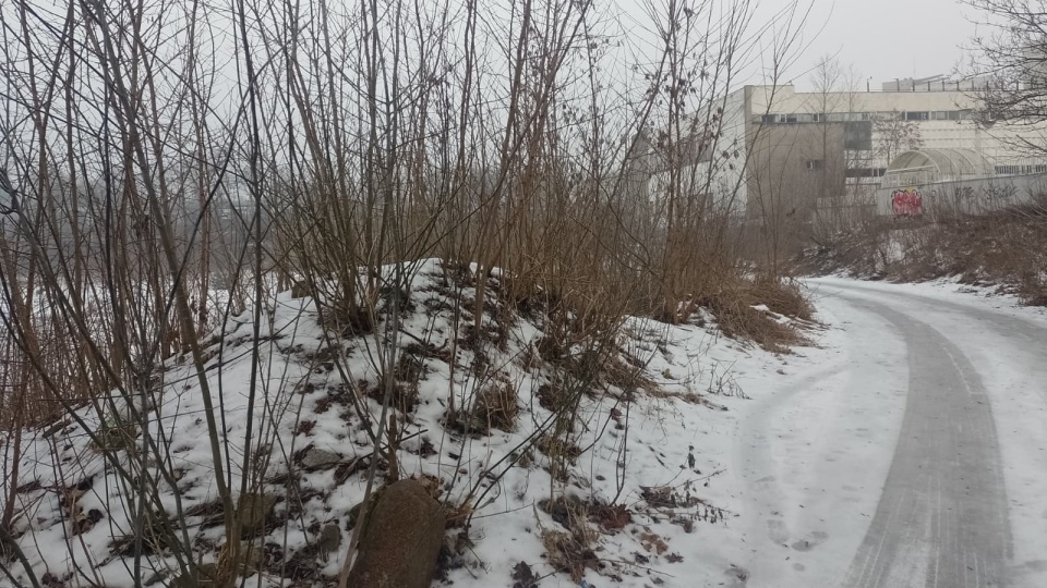 W tym miejscu miałoby powstać Nowe Centrum Torunia/fot. Michał Zaręba