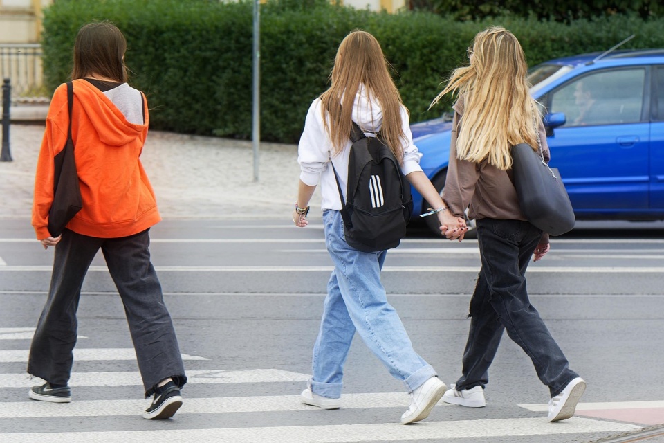 Wyniki raportu Fundacji Życie Warte Jest Rozmowy nie pozostawiają złudzeń. / Fot. Pixabay / ilustracyjne