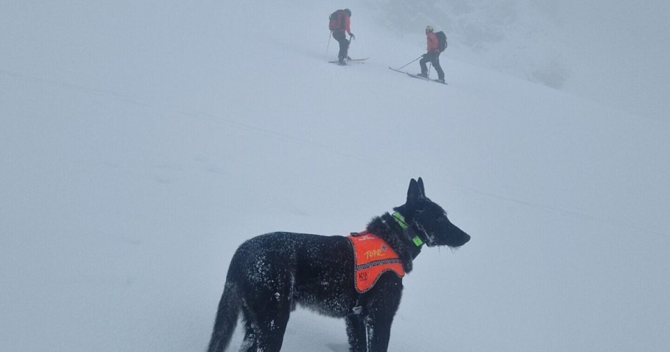 Pierwszego dnia poszukiwań w akcji wzięło udział 22 ratowników TOPR/Fot. TOPR