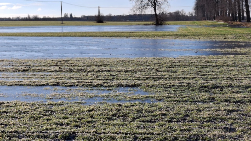 Dramatyczna sytuacja rolników z regionu. Woda zalała pola i opóźnia prace [zdjęcia i wideo]