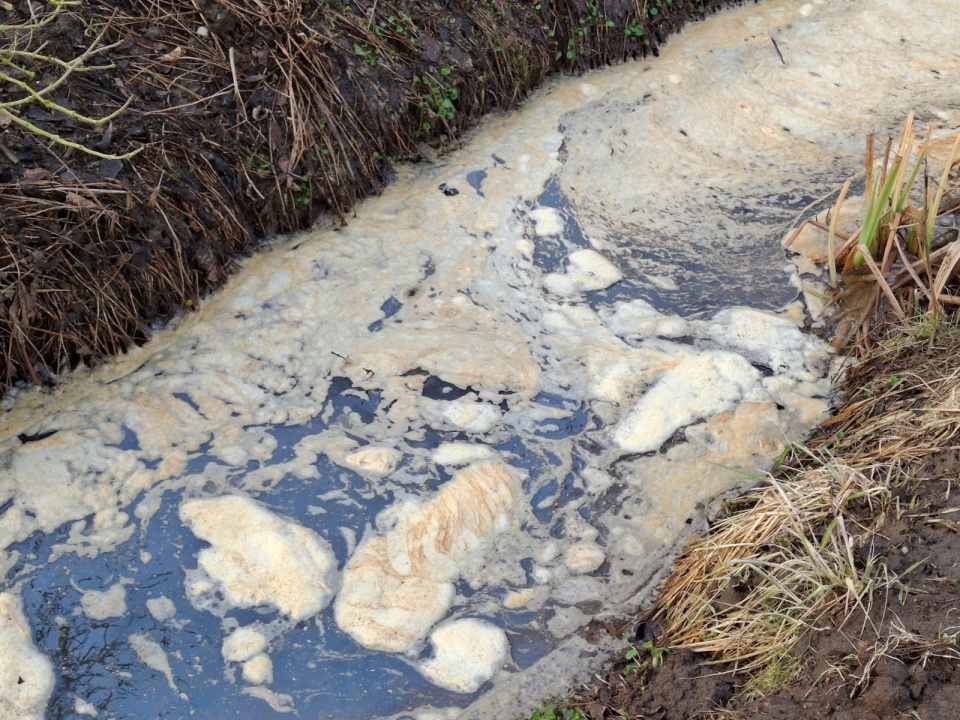 Co to za brudy płyną w Chrystkowie? - pyta Słuchaczka, która mieszka nieopodal zanieczyszczonej wody [wideo]