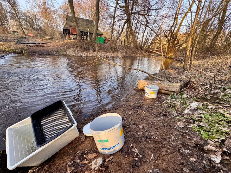 Ciało mężczyzny wyłowiono w piątek z rzeki w Cierpicach pod Toruniem/fot. WOPR Toruń