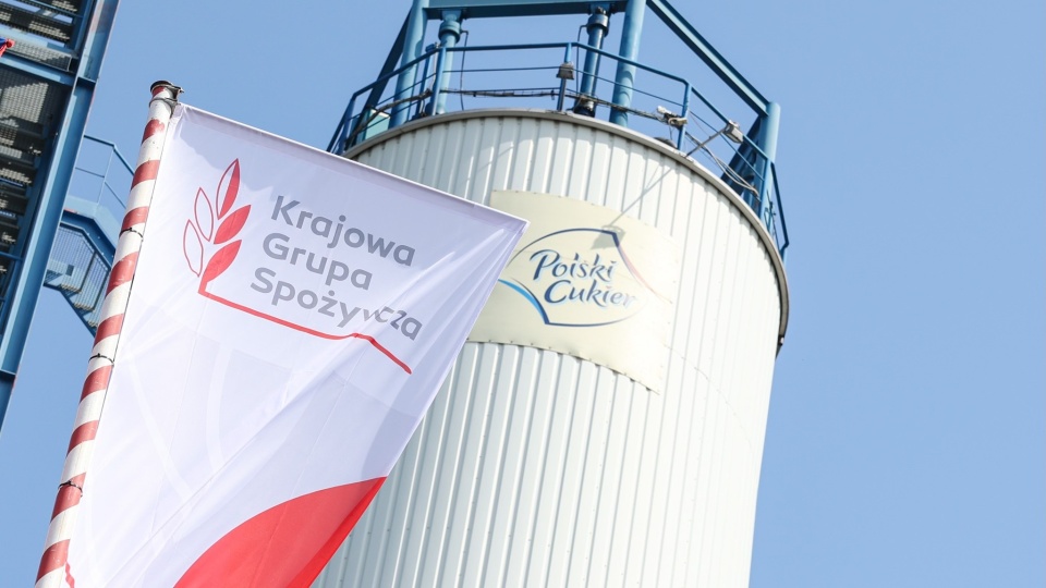 Krajowa Grupa Spożywcza nie przejmie sieci Carrefour. Minister ogłasza koniec projektu (fot. KGS)