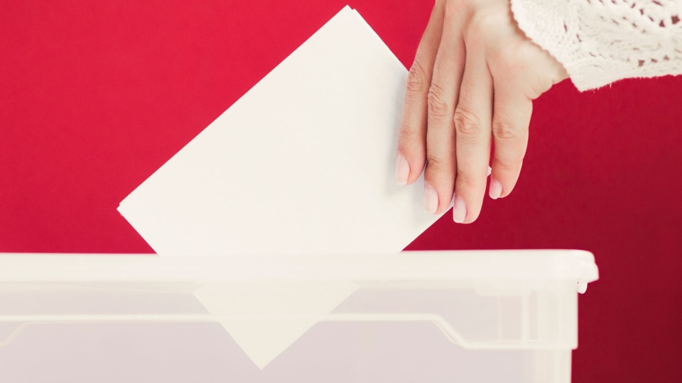 W niedzielę 8 marca odbyły się wybory liderów struktur powiatowych i regionalnych w KO/fot. Freepik