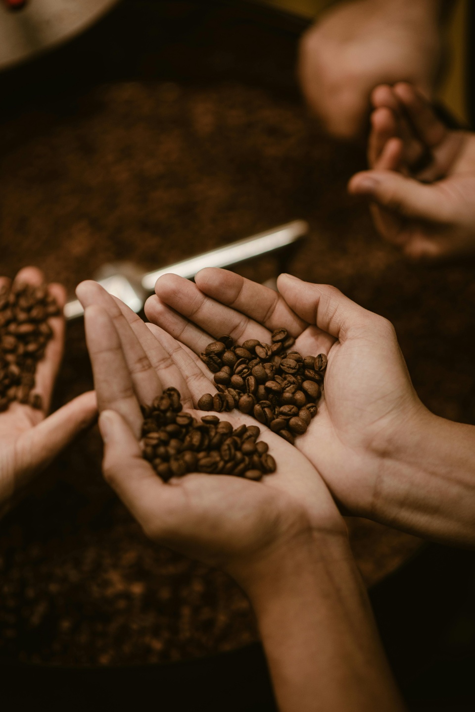 materiały promocyjne