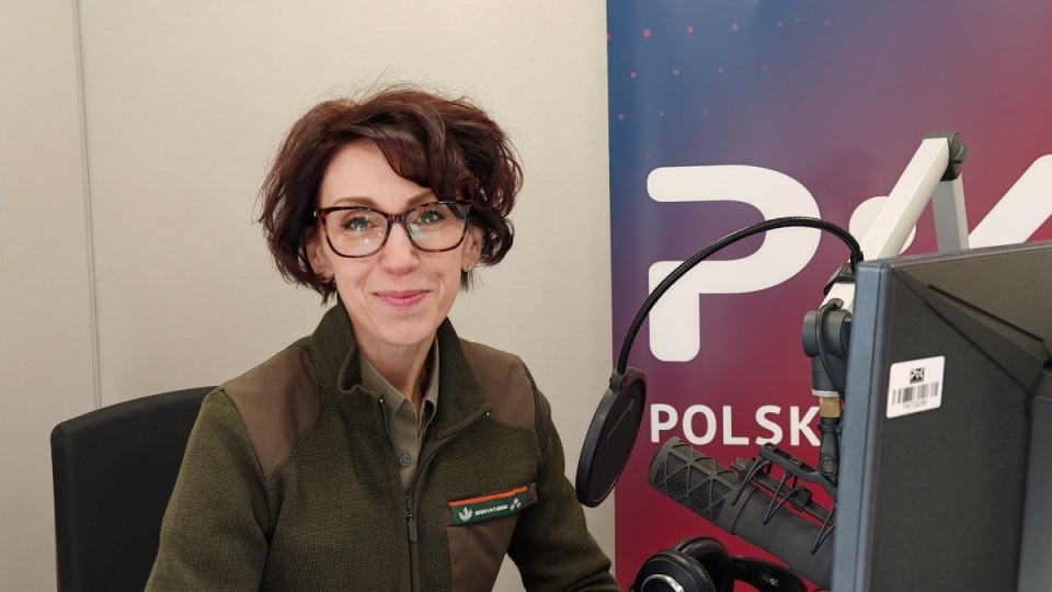 Honorata Galczewska, rzeczniczka prasowa Regionalnej Dyrekcji Lasów Państwowych w Toruniu/fot. Zdzisław Nawrat