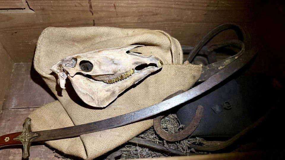 Wykopano skrzynię, w której znajdowały się m.in. szczątki konia z legendy/fot. Izabela Langner