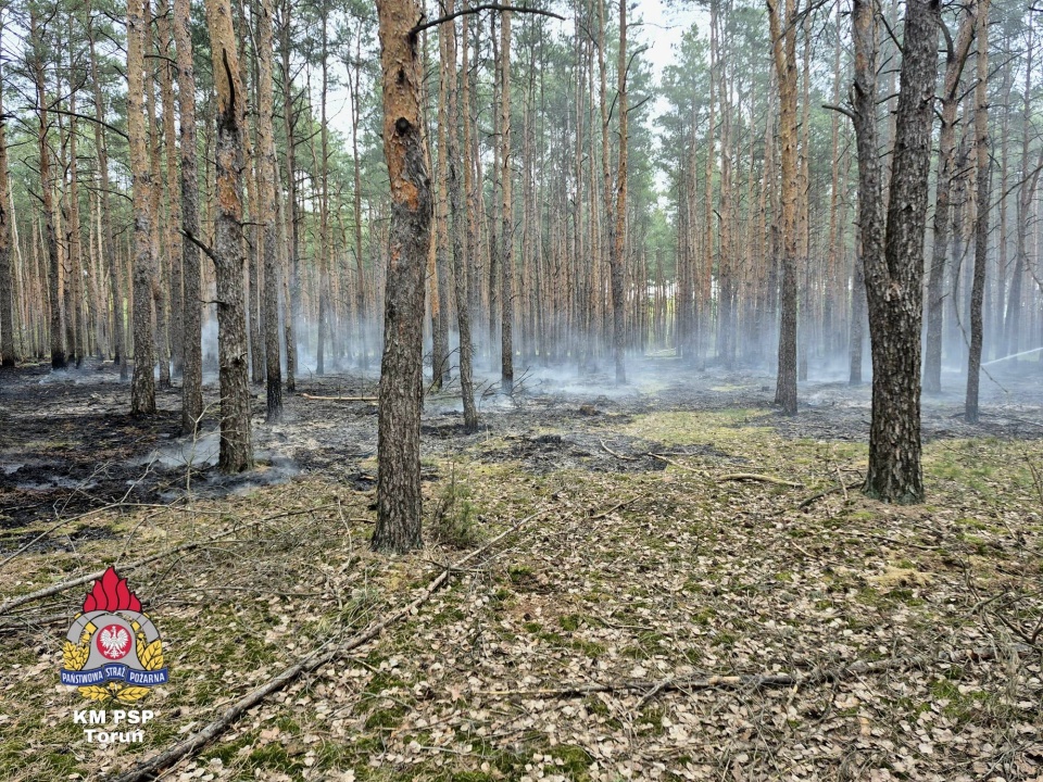 Pożar w Dzikowie/fot. KM PSP Toruń/Facebook